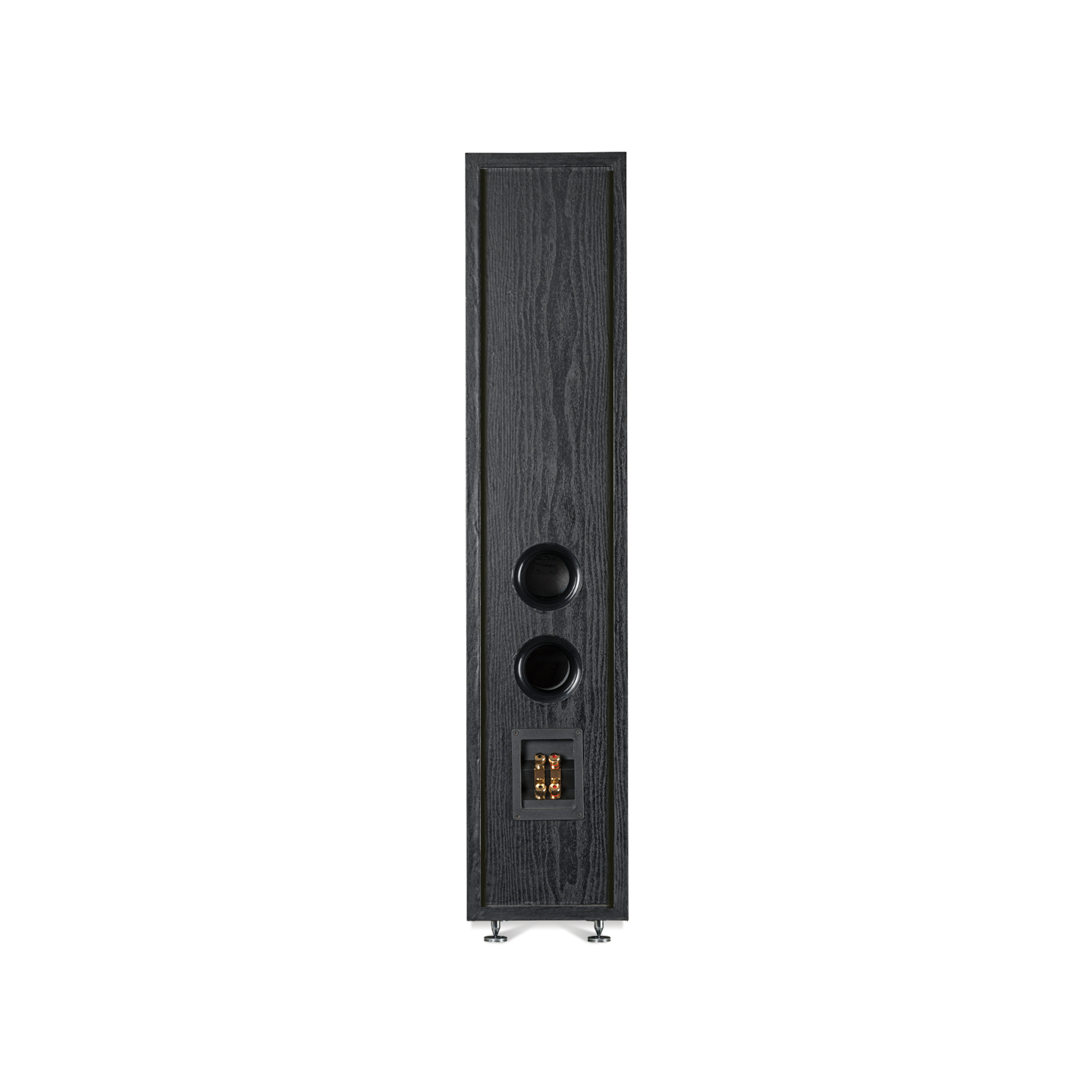 SONODYNE SONUS 3165