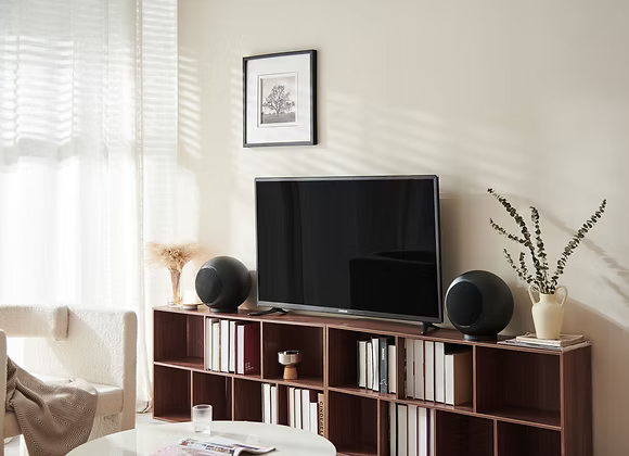 Elipson Planet L Speaker (Pair)