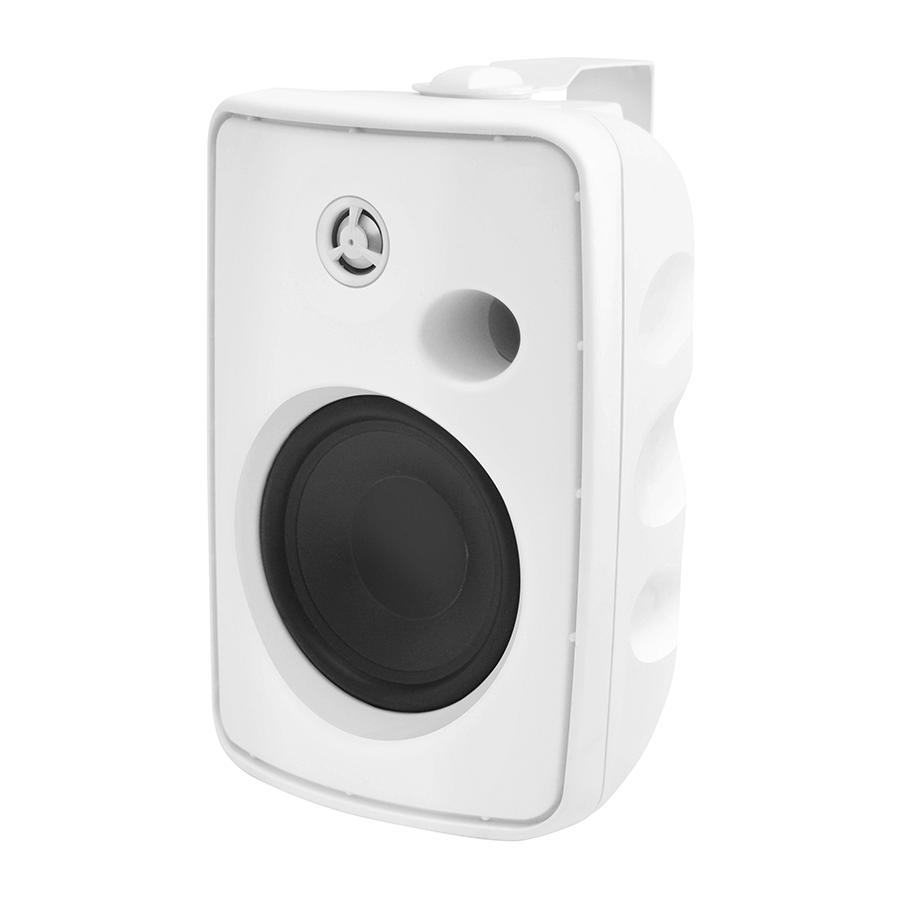 Pure Acoustics Blyss 85T 8" Low voltage outdoor speaker