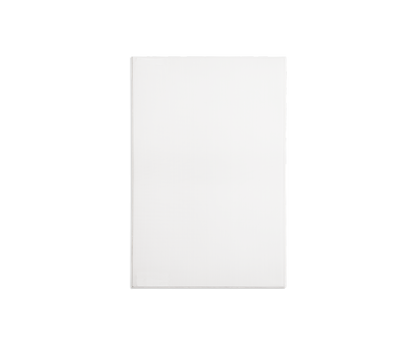 Definitive Technology DW 65 PRO In-Wall Speaker UNIT