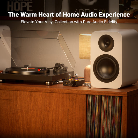 Fosi Audio Box X2 Phono Preamplifier