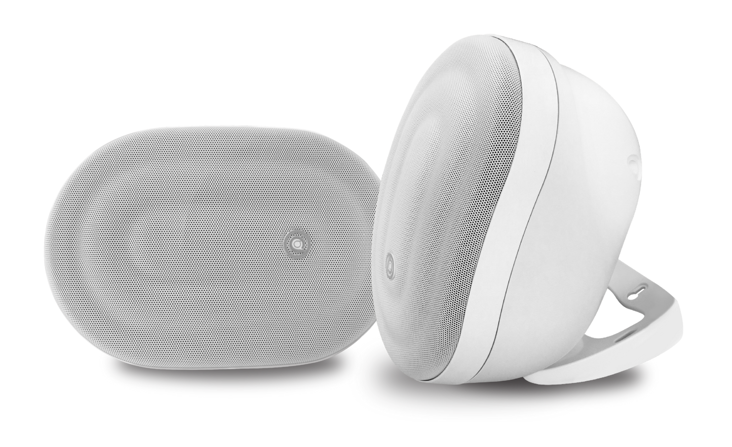 Pure Acoustics Calisto T 6.5" Outdoor speaker with transformer