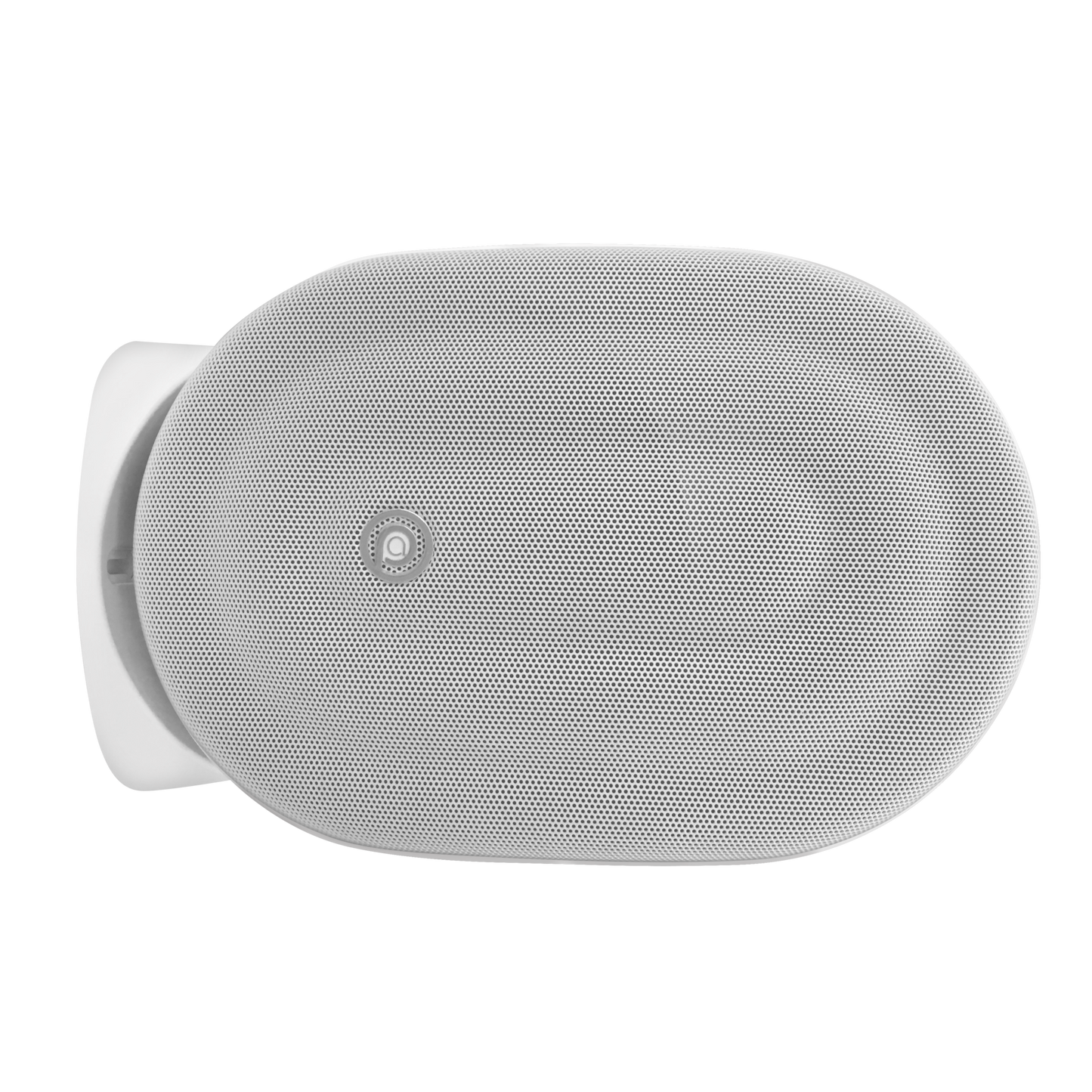 Pure Acoustics Calisto T 6.5" Outdoor speaker with transformer