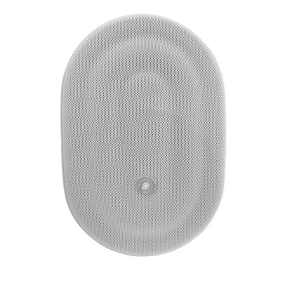 Pure Acoustics Calisto T 6.5" Outdoor speaker with transformer