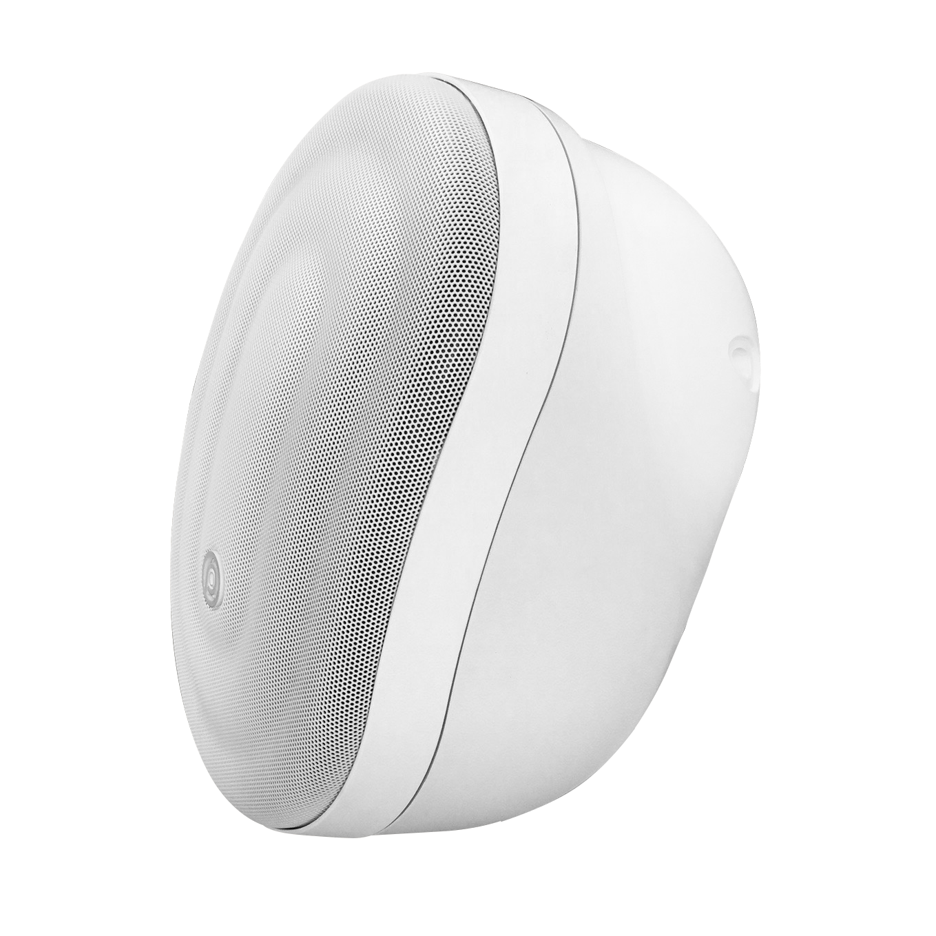 Pure Acoustics Calisto T 6.5" Outdoor speaker with transformer