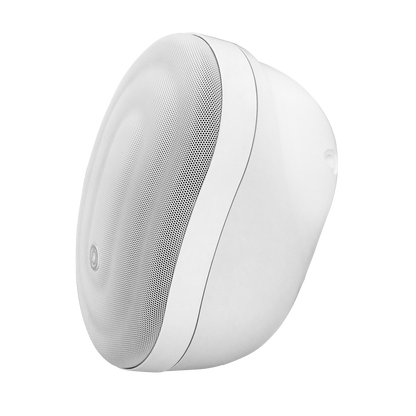Pure Acoustics Calisto T 6.5" Outdoor speaker with transformer