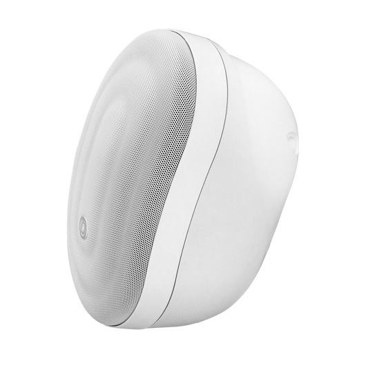 Pure Acoustics Calisto T 6.5" Outdoor speaker with transformer