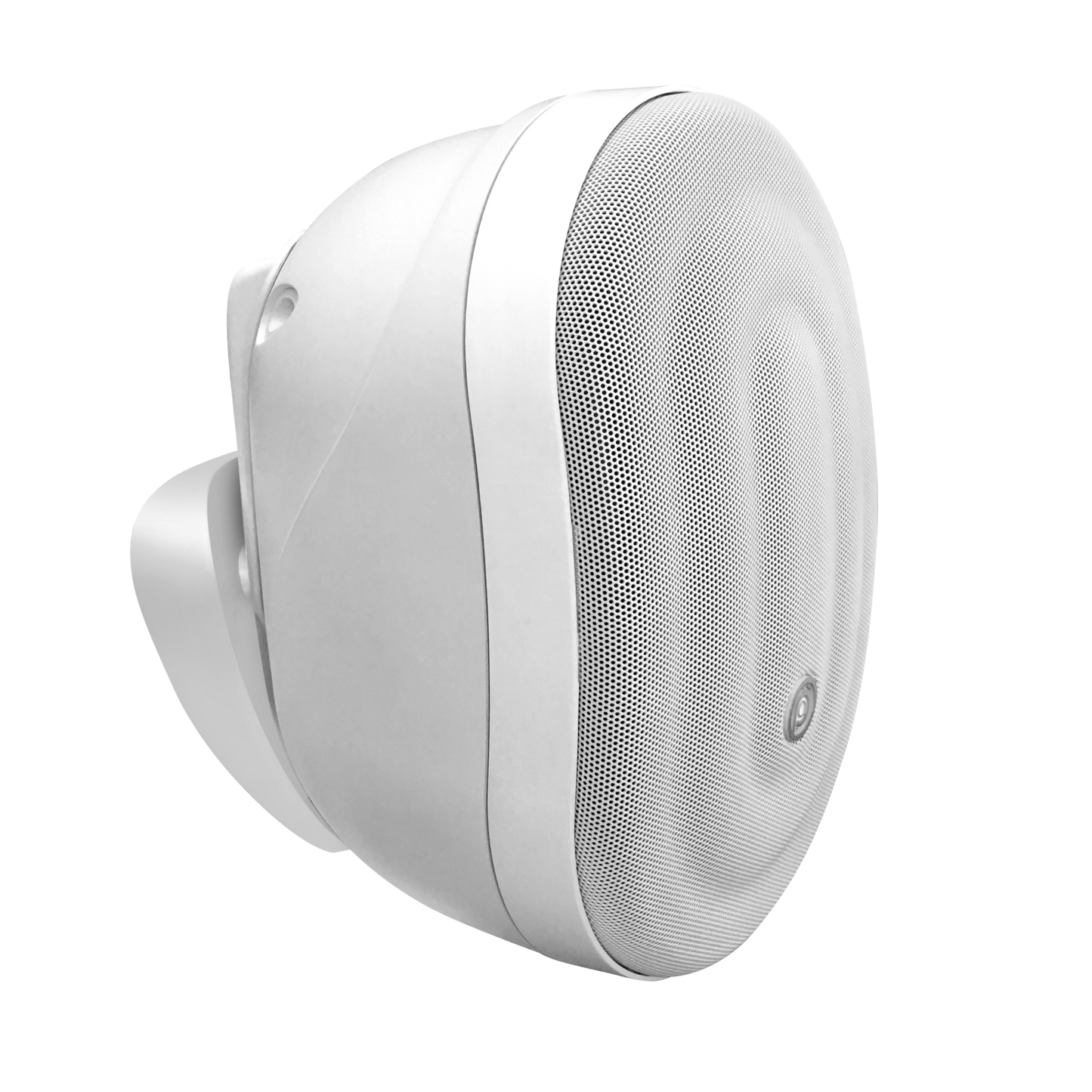 Pure Acoustics Calisto T 6.5" Outdoor speaker with transformer