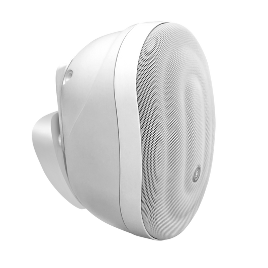 Pure Acoustics Calisto T 6.5" Outdoor speaker with transformer