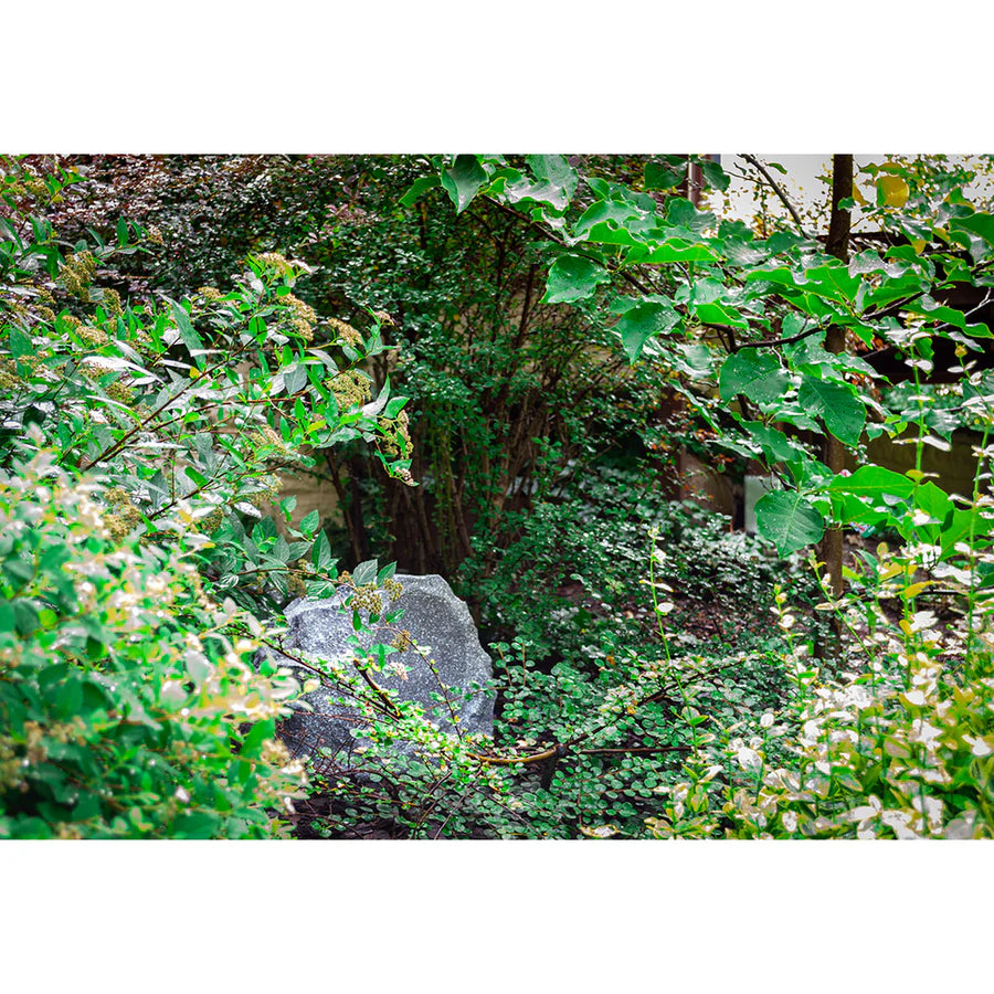 Taga Harmony TRS-20 V.3 Garden Outdoor Rock Speaker (Each)