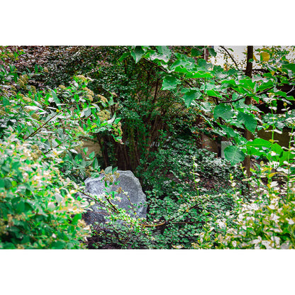 Taga Harmony TRS-20 V.3 Garden Outdoor Rock Speaker (Each)