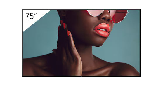 Sony Bravia Professional Displays FW-75BZ40L BZ40L Series - 75" LED-backlit LCD display - 4K -