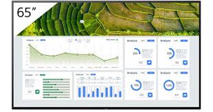 Sony BZ30L Series 65" UHD 4K HDR Commercial Monitor