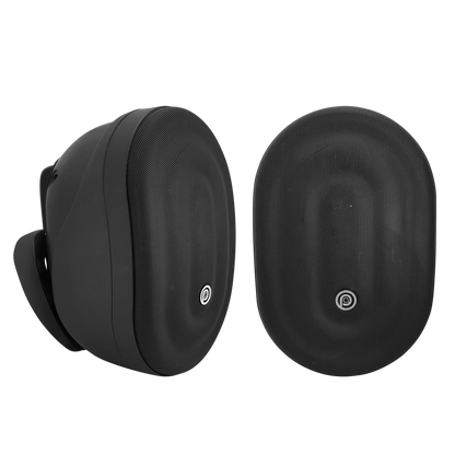 Pure Acoustics Calisto T 6.5" Outdoor speaker with transformer