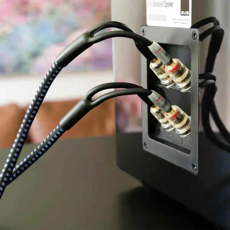 SVS SoundPath Ultra Speaker Cable - Banana/Banana - 10F
