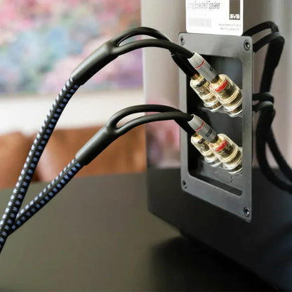 SVS SoundPath Ultra Speaker Cable - Banana/Banana - 10F