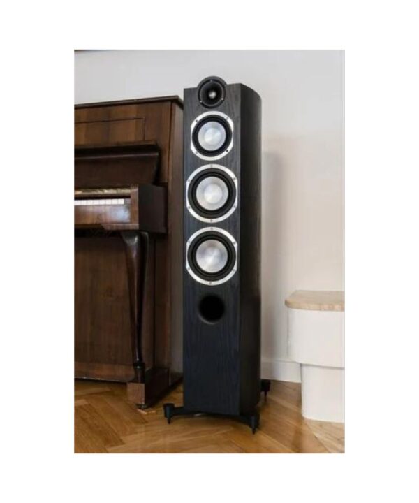 TAGA HARMONY PLATINUM F-100 V.3 FLOORSTANDING Speakers (Pair)