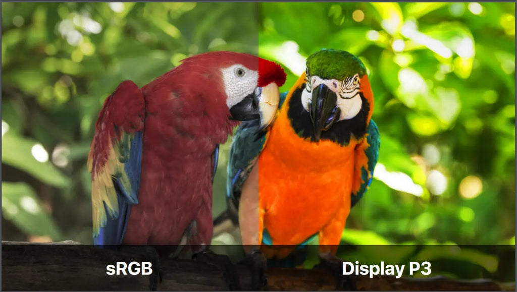 DCI-P3 vs. Other Common Colour Spaces